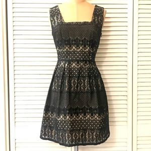 🆕 Fishbowl Womens Dress Small Black Lace Sleeveless Office Cocktail Party